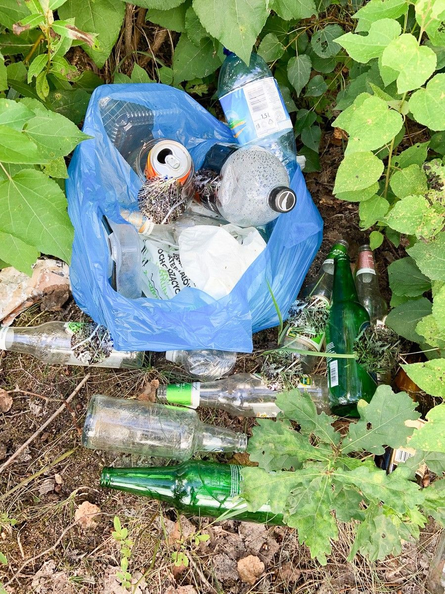 Masakryczny bałagan na brzegu Krępnicy (akwen w miejscowości Krępnica, gmina Bolesławiec)