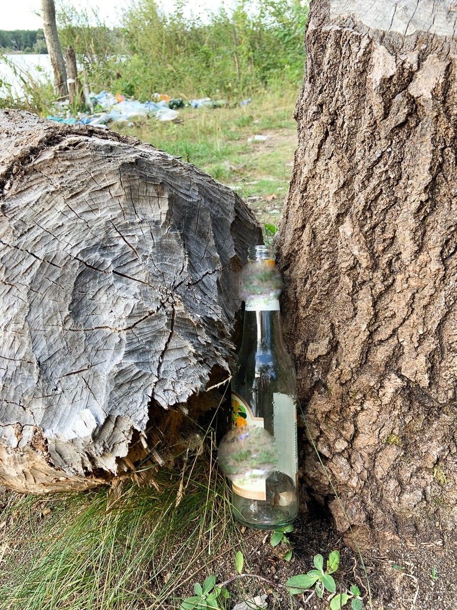 Masakryczny bałagan na brzegu Krępnicy (akwen w miejscowości Krępnica, gmina Bolesławiec)