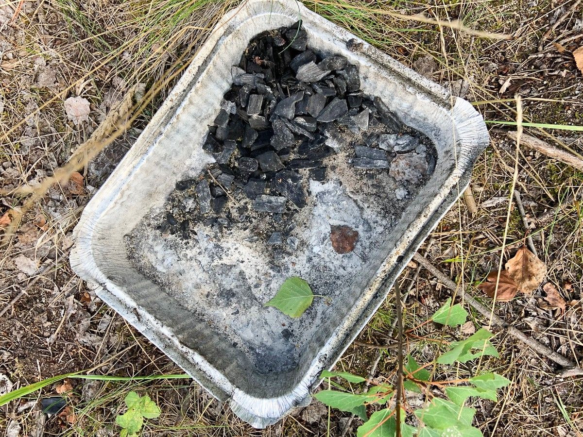 Masakryczny bałagan na brzegu Krępnicy (akwen w miejscowości Krępnica, gmina Bolesławiec)