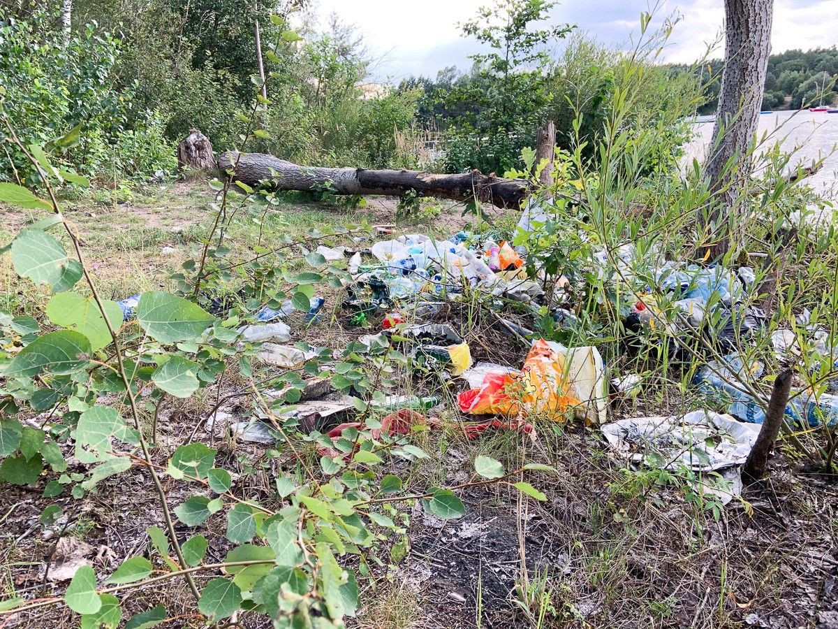 Masakryczny bałagan na brzegu Krępnicy (akwen w miejscowości Krępnica, gmina Bolesławiec)