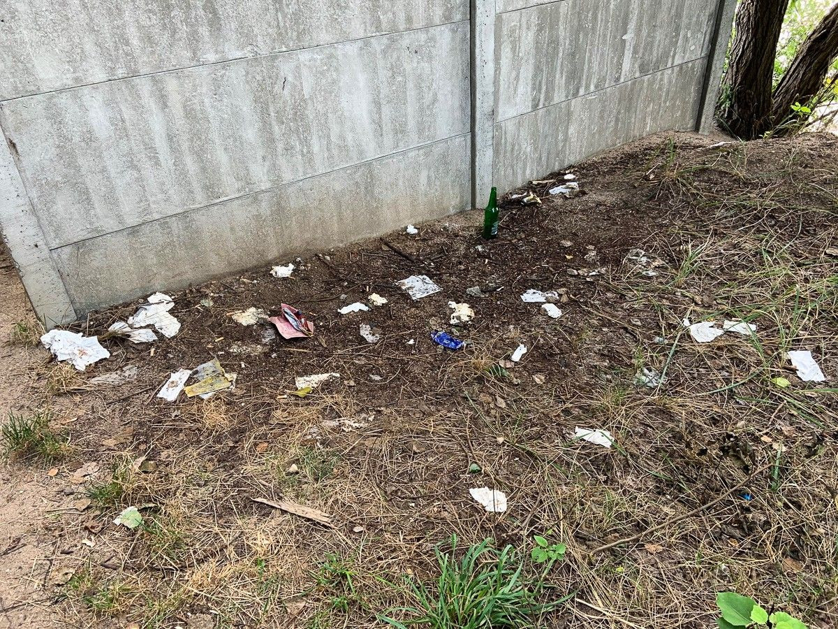 Masakryczny bałagan na brzegu Krępnicy (akwen w miejscowości Krępnica, gmina Bolesławiec)