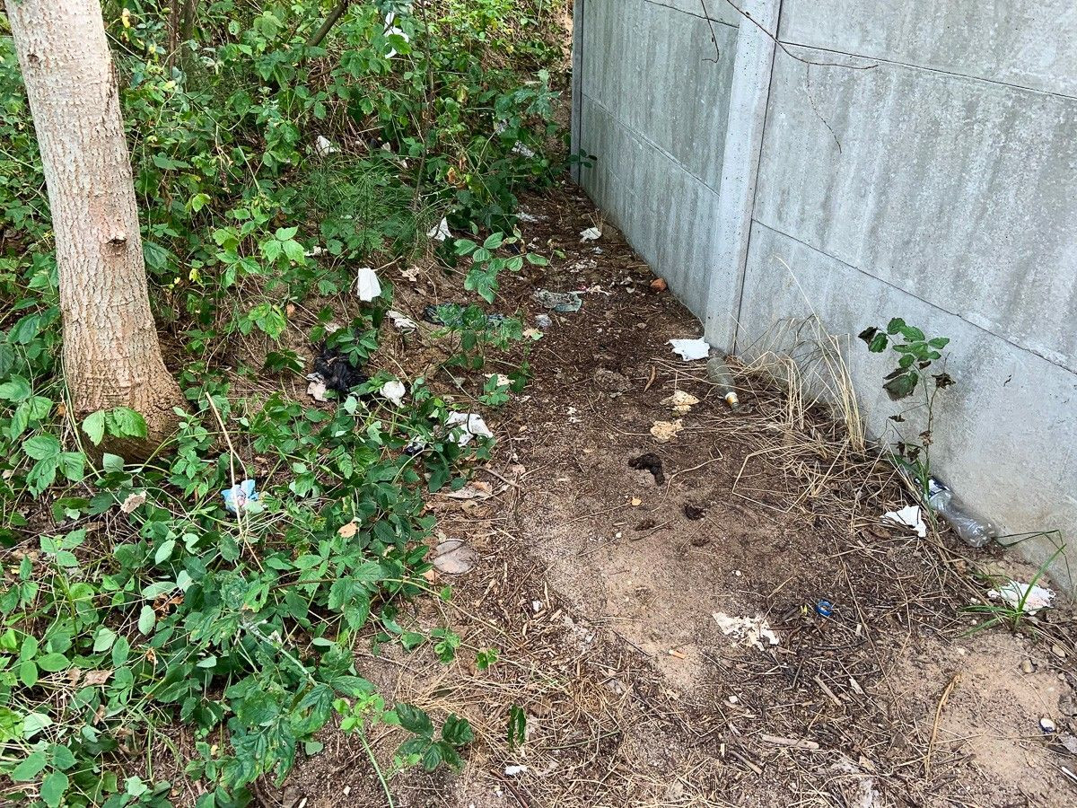 Masakryczny bałagan na brzegu Krępnicy (akwen w miejscowości Krępnica, gmina Bolesławiec)