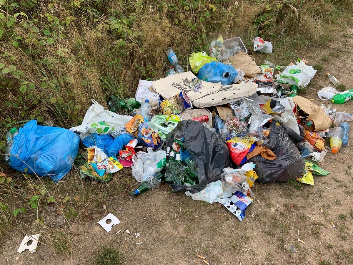 Masakryczny bałagan na brzegu Krępnicy (akwen w miejscowości Krępnica, gmina Bolesławiec)