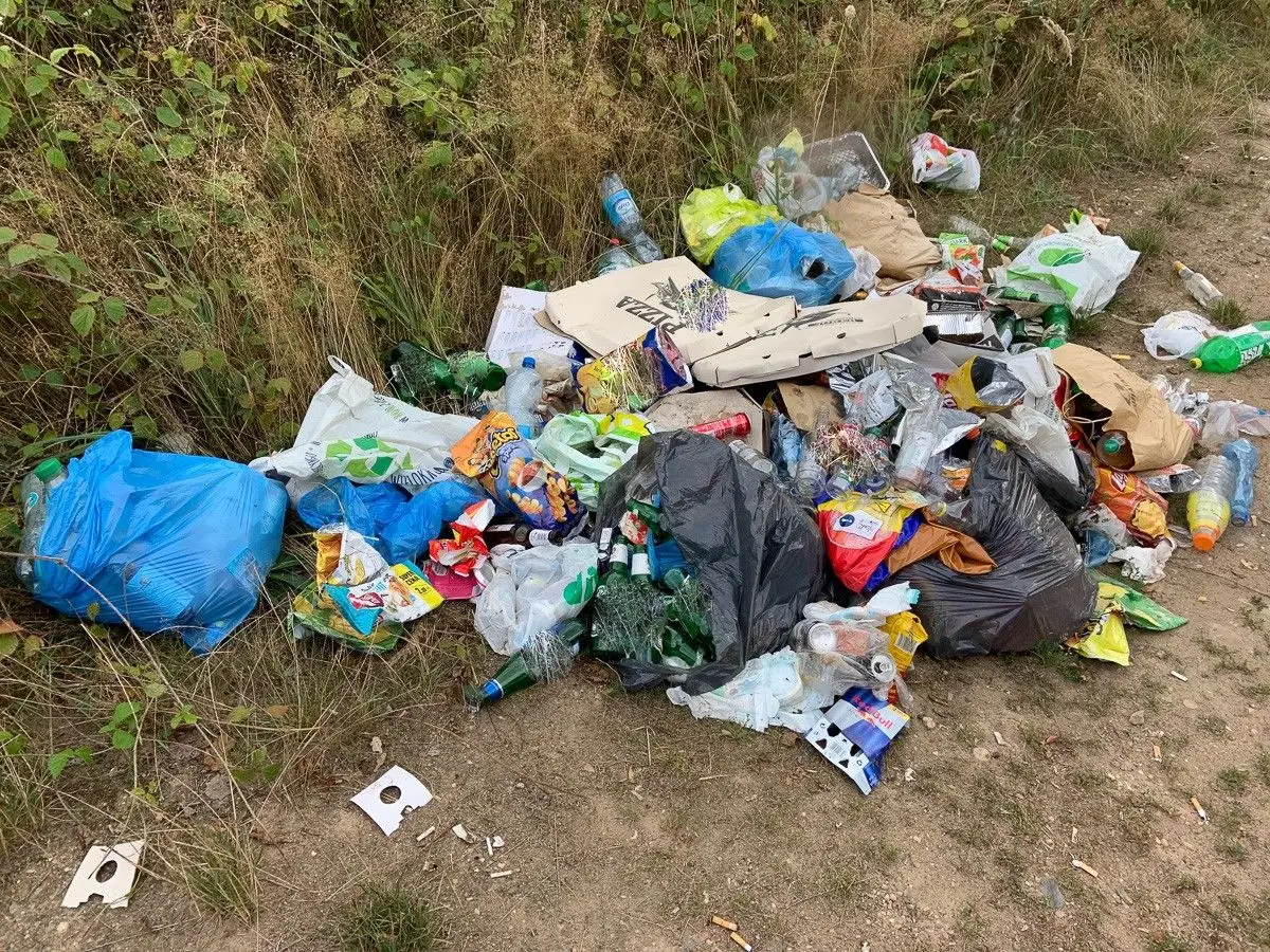 Masakryczny bałagan na brzegu Krępnicy (akwen w miejscowości Krępnica, gmina Bolesławiec)