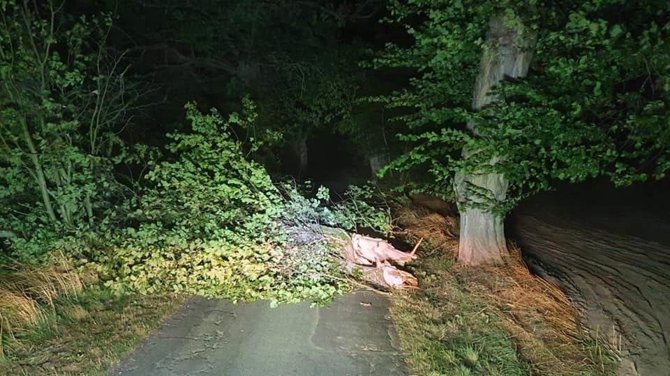 Akcja straży pożarnej w Parkoszowie (gmina Bolesławiec, powiat bolesławiecki)