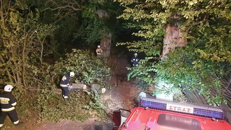 Akcja straży pożarnej w Parkoszowie (gmina Bolesławiec, powiat bolesławiecki)