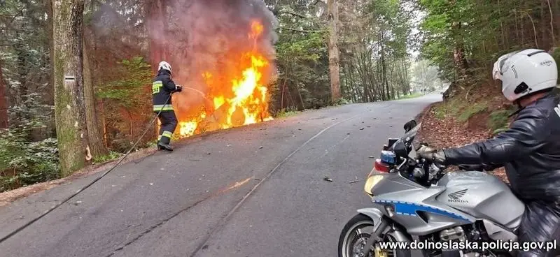 Akcja służb w Jeleniej Górze. Auto wjechało w drzewo i stanęło w ogniu