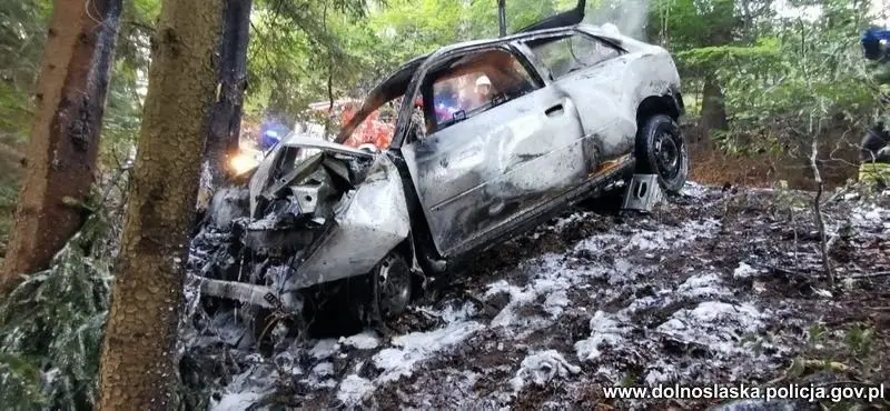 Akcja służb w Jeleniej Górze. Auto wjechało w drzewo i stanęło w ogniu