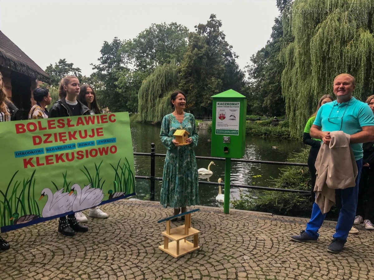 Kaczkomat przy stawie miejskim przy ul. Bankowej w Bolesławcu