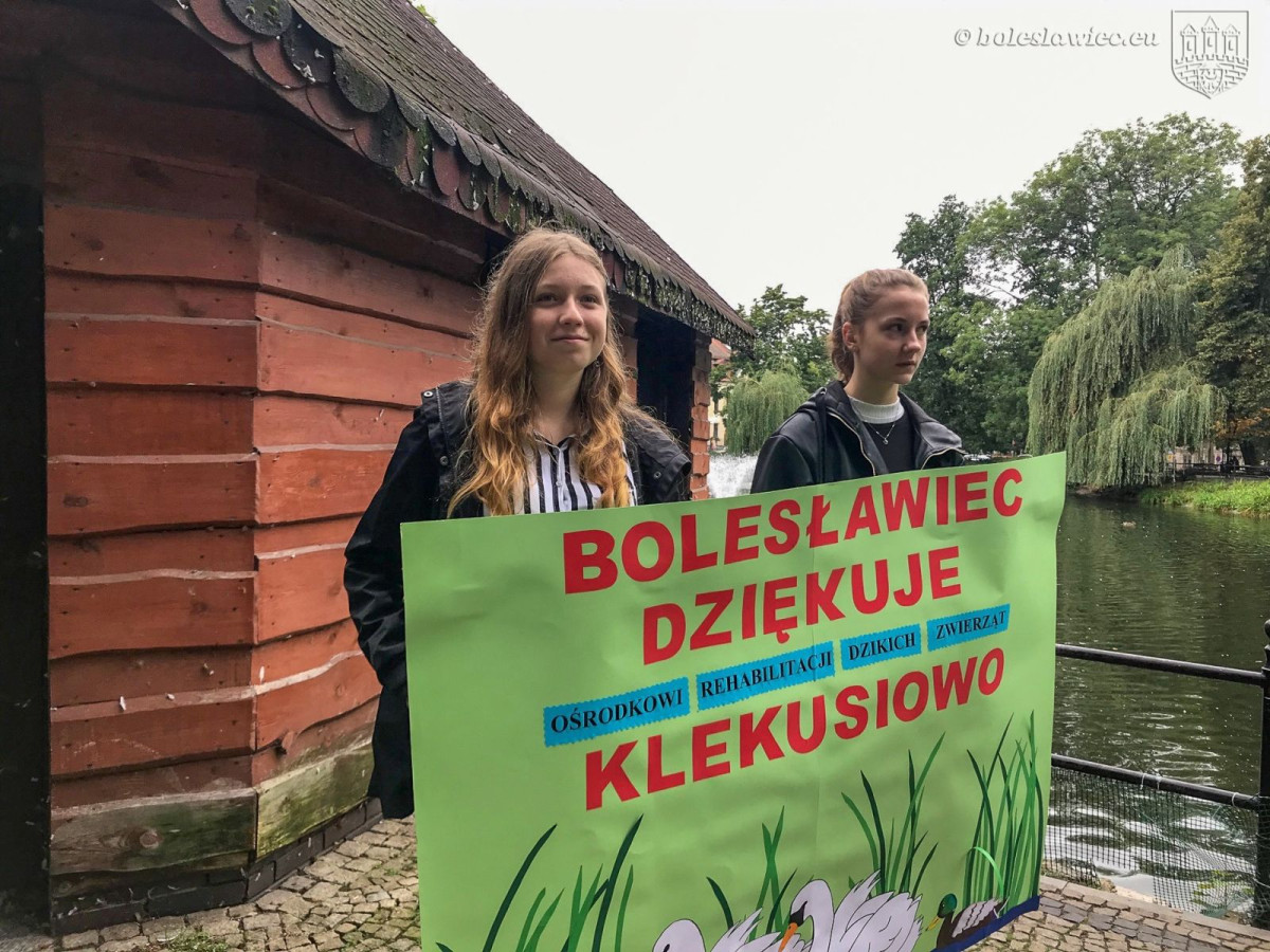 Kaczkomat przy stawie miejskim przy ul. Bankowej w Bolesławcu