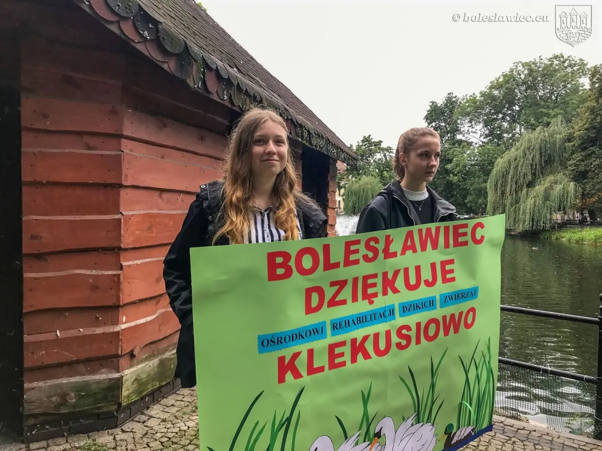 Kaczkomat przy stawie miejskim przy ul. Bankowej w Bolesławcu