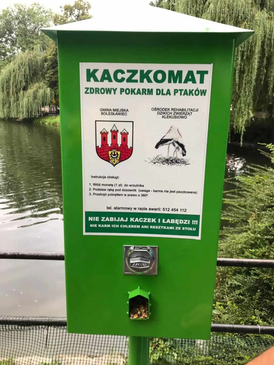 Kaczkomat przy stawie miejskim przy ul. Bankowej w Bolesławcu