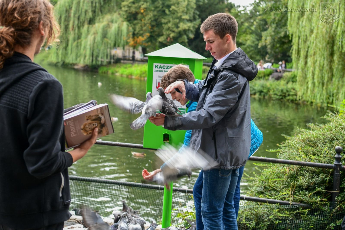 Kaczkomat przy stawie miejskim przy ul. Bankowej w Bolesławcu