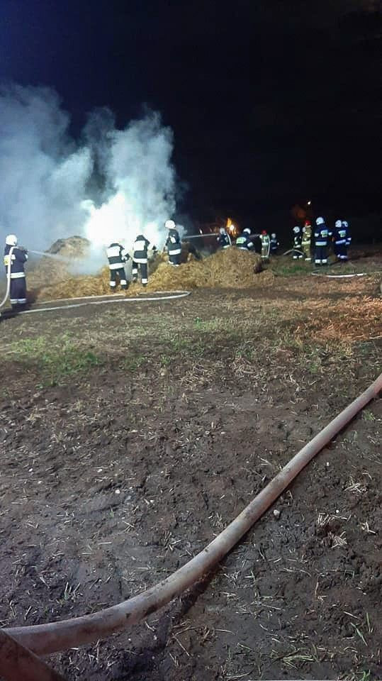 Akcja służb w Ocicach (gmina Bolesławiec, powiat bolesławiecki)