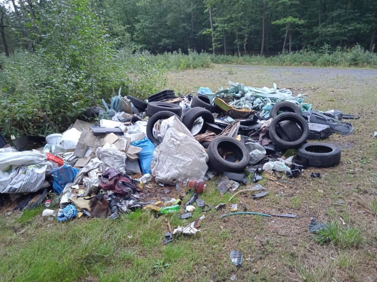 Dzikie wysypisko między Lubkowem a Wilczym Lasem (gmina Warta Bolesławiecka, powiat bolesławiecki)