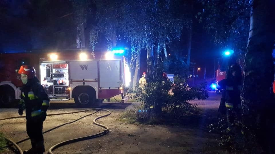 Akcja służb przy A4 (okolice Szczytnicy w gminie Warta Bolesławiecka)