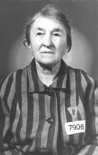 Posiedzenie Bolesławieckiej Rady Seniorów