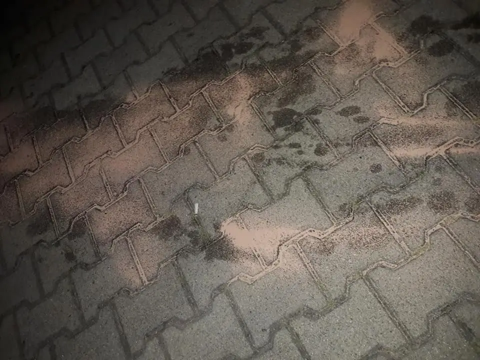 Akcja straży pożarnej przy ul. Asnyka w Nowogrodźcu (powiat bolesławiecki)