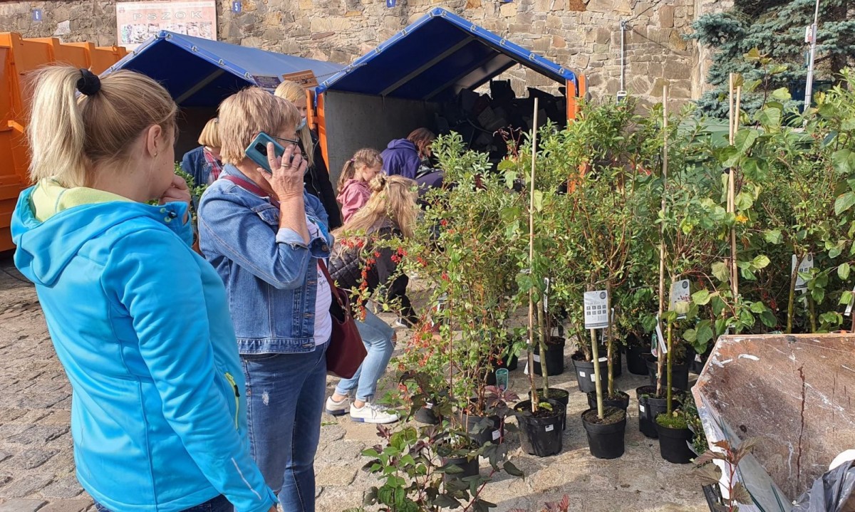 Akcja „Elektrograty wymiatamy z chaty” w Bolesławcu