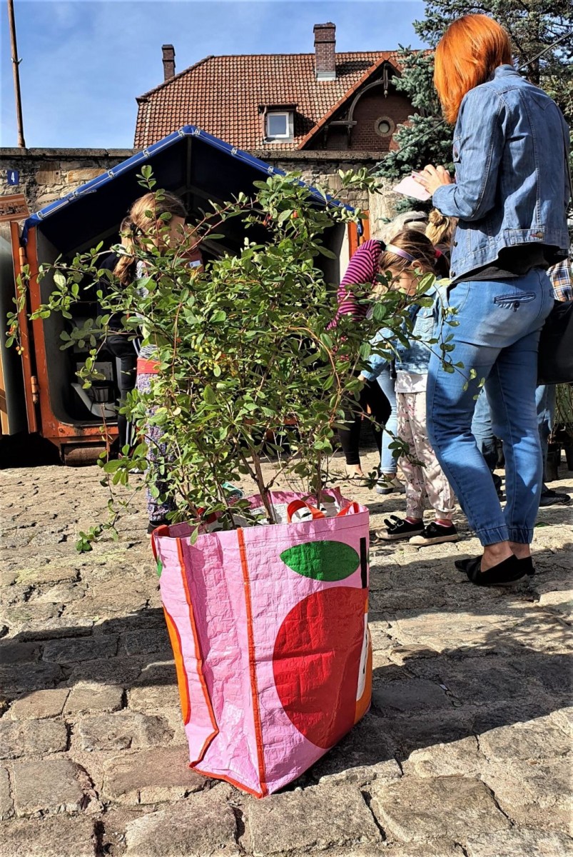 Akcja „Elektrograty wymiatamy z chaty” w Bolesławcu