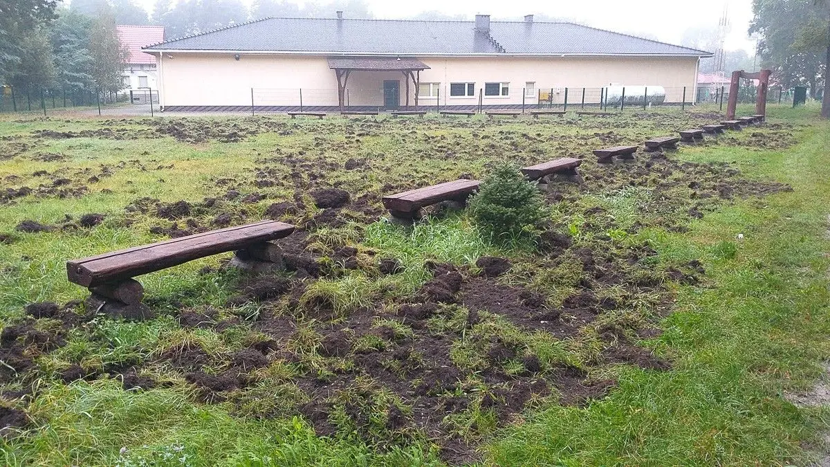 Leśny Amfiteatr w Parowej