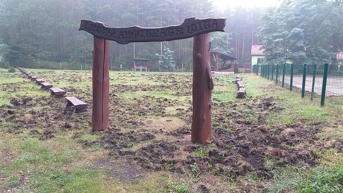 Leśny Amfiteatr w Parowej