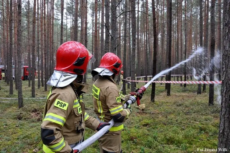 Strażacy w Borach Dolnośląskich. W ćwiczeniach brało udział niemal 110 osób
