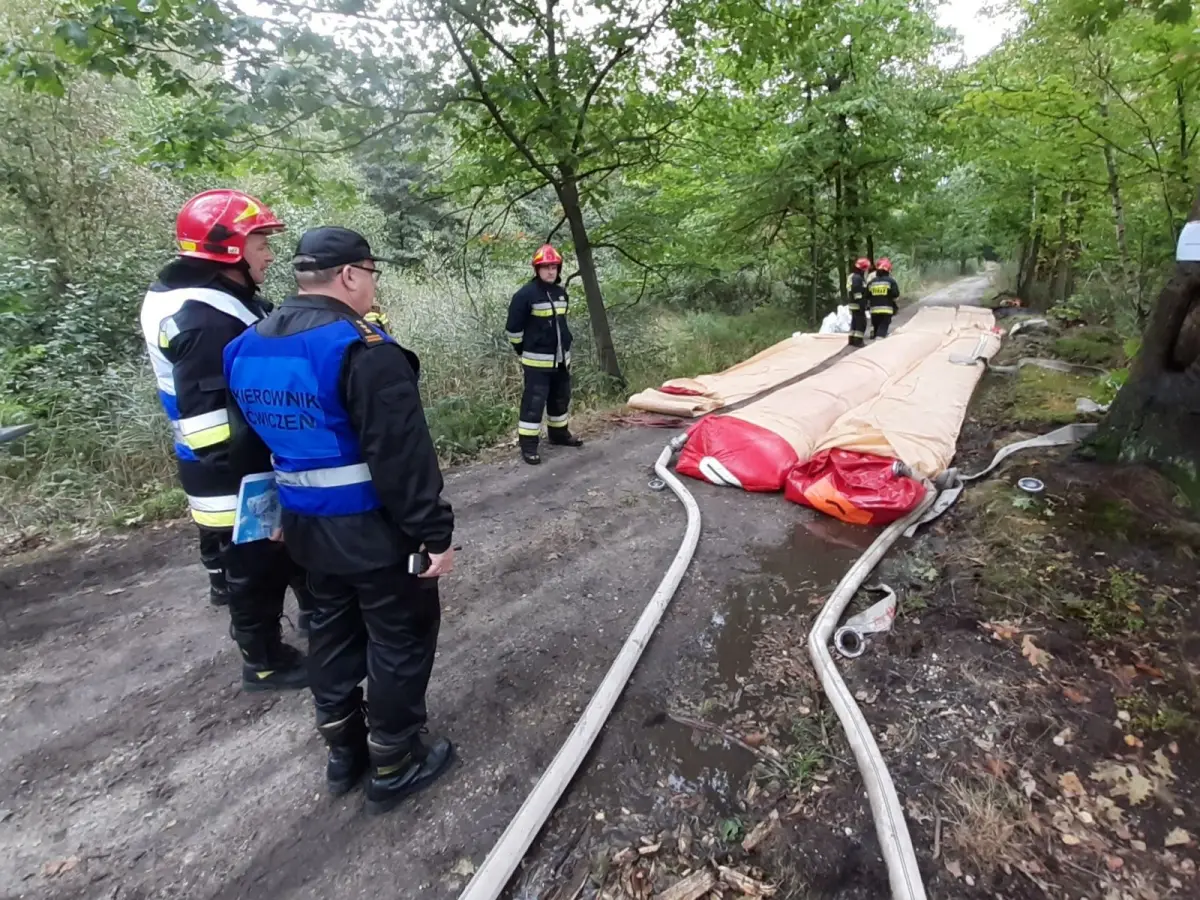 Strażacy w Borach Dolnośląskich. W ćwiczeniach brało udział niemal 110 osób