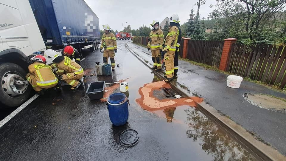 Akcja służb w Kozłowie (gmina Bolesławiec, powiat bolesławiecki)