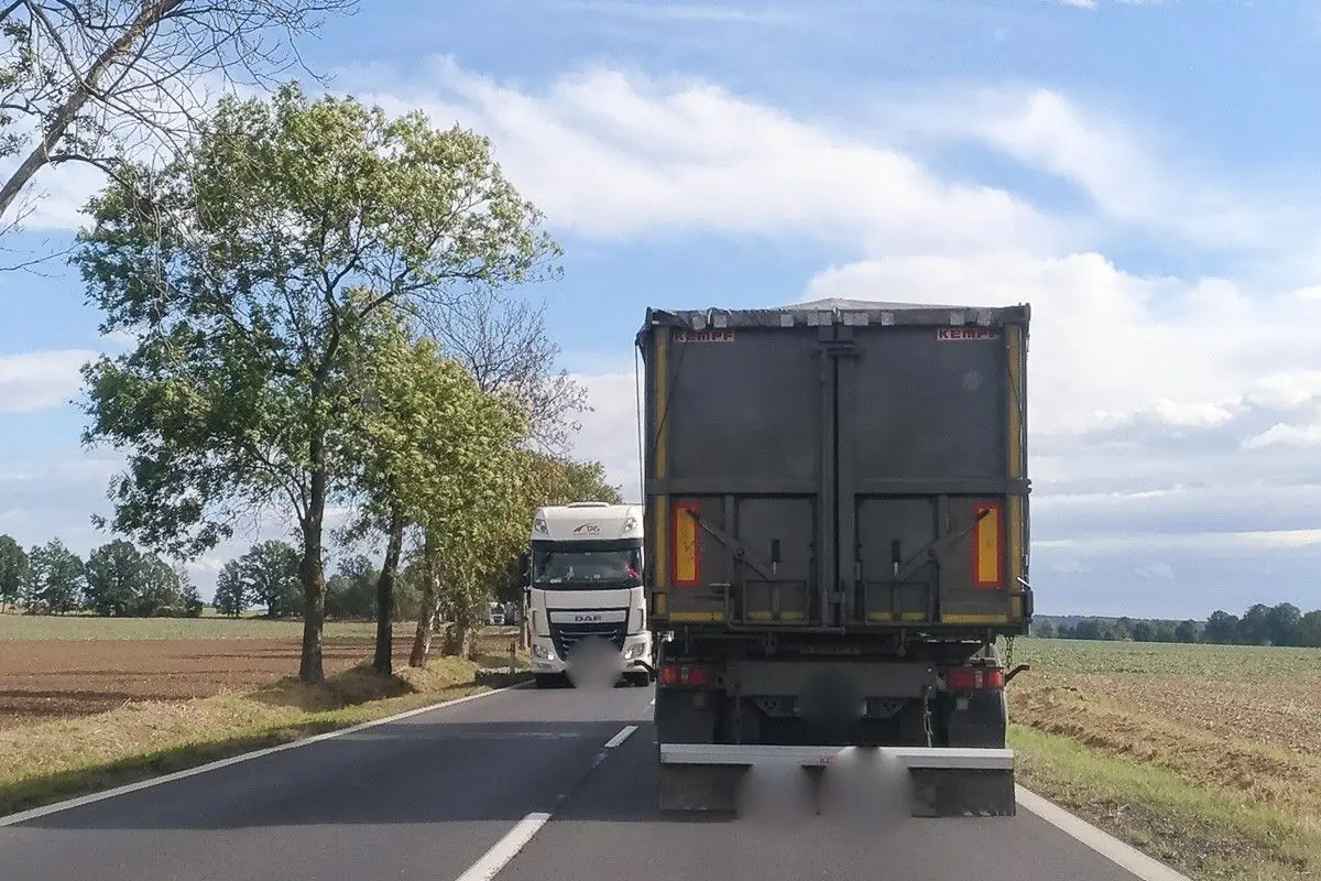 Korek w Tomaszowie Bolesławieckim