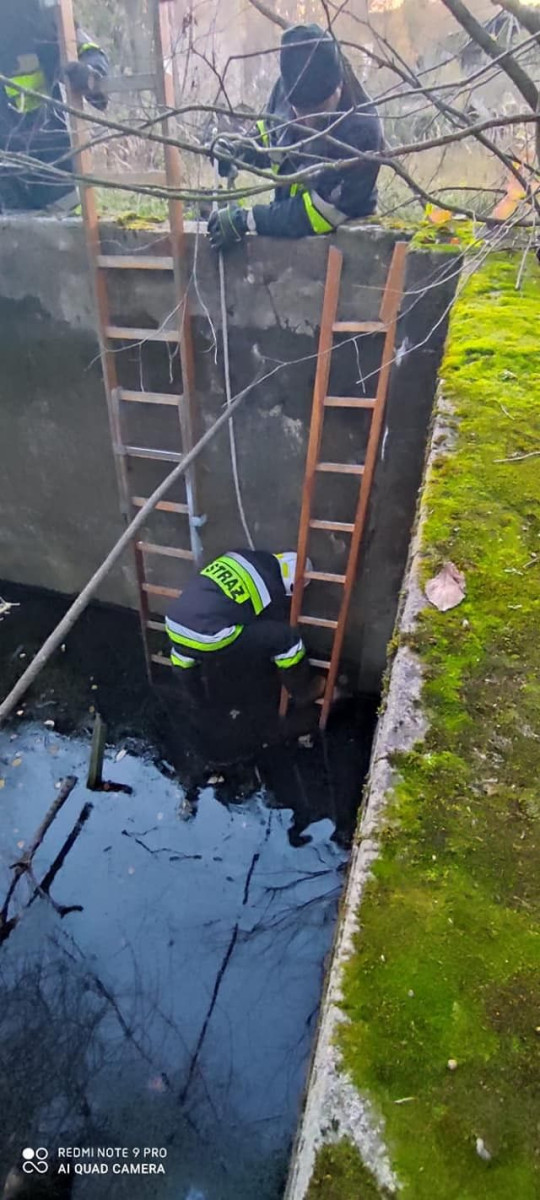 Akcja straży pożarnej w miejscowości Ławszowa