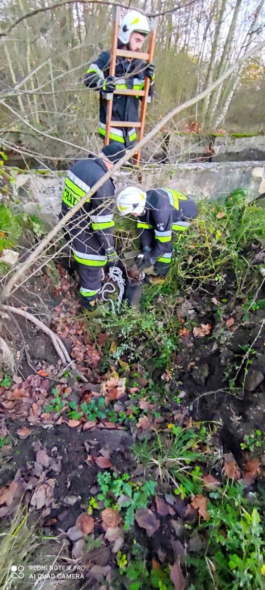 Akcja straży pożarnej w miejscowości Ławszowa