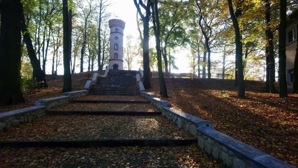Wieża widokowa w Nowogrodźcu (powiat bolesławiecki)