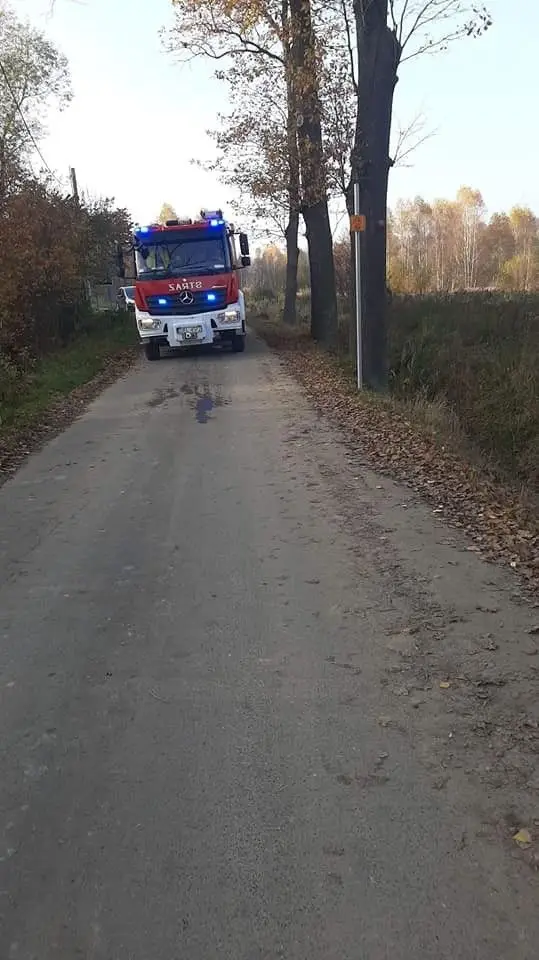 Akcja strażaków w Nowych Jaroszowicach