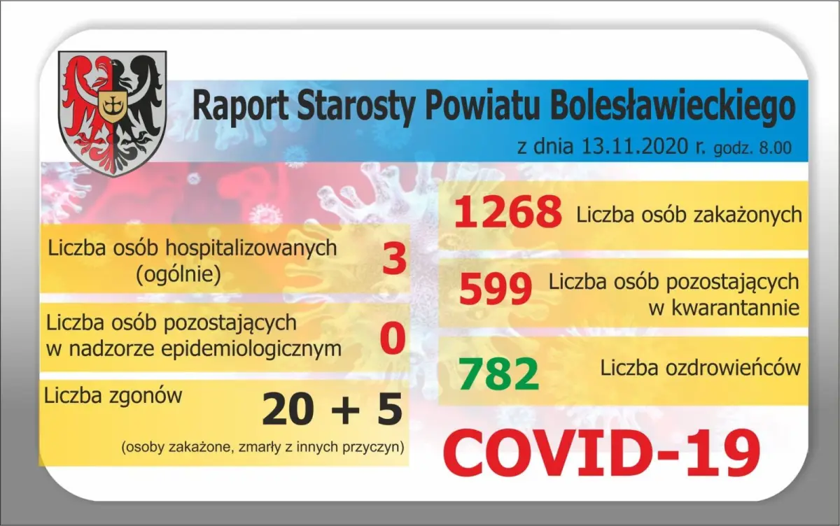 Raport Starostwa Powiatowego
