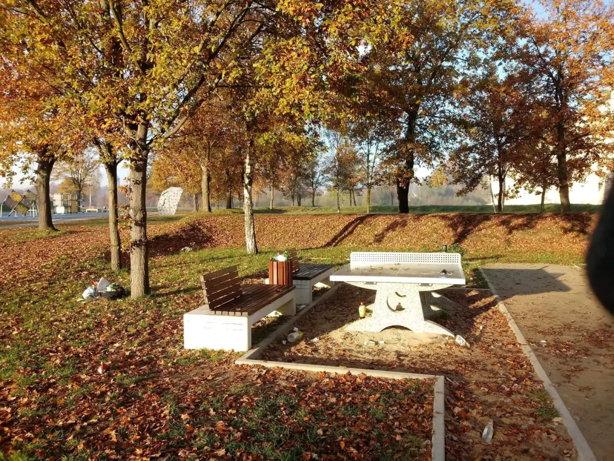 Śmieci na Wiadukt Plaza