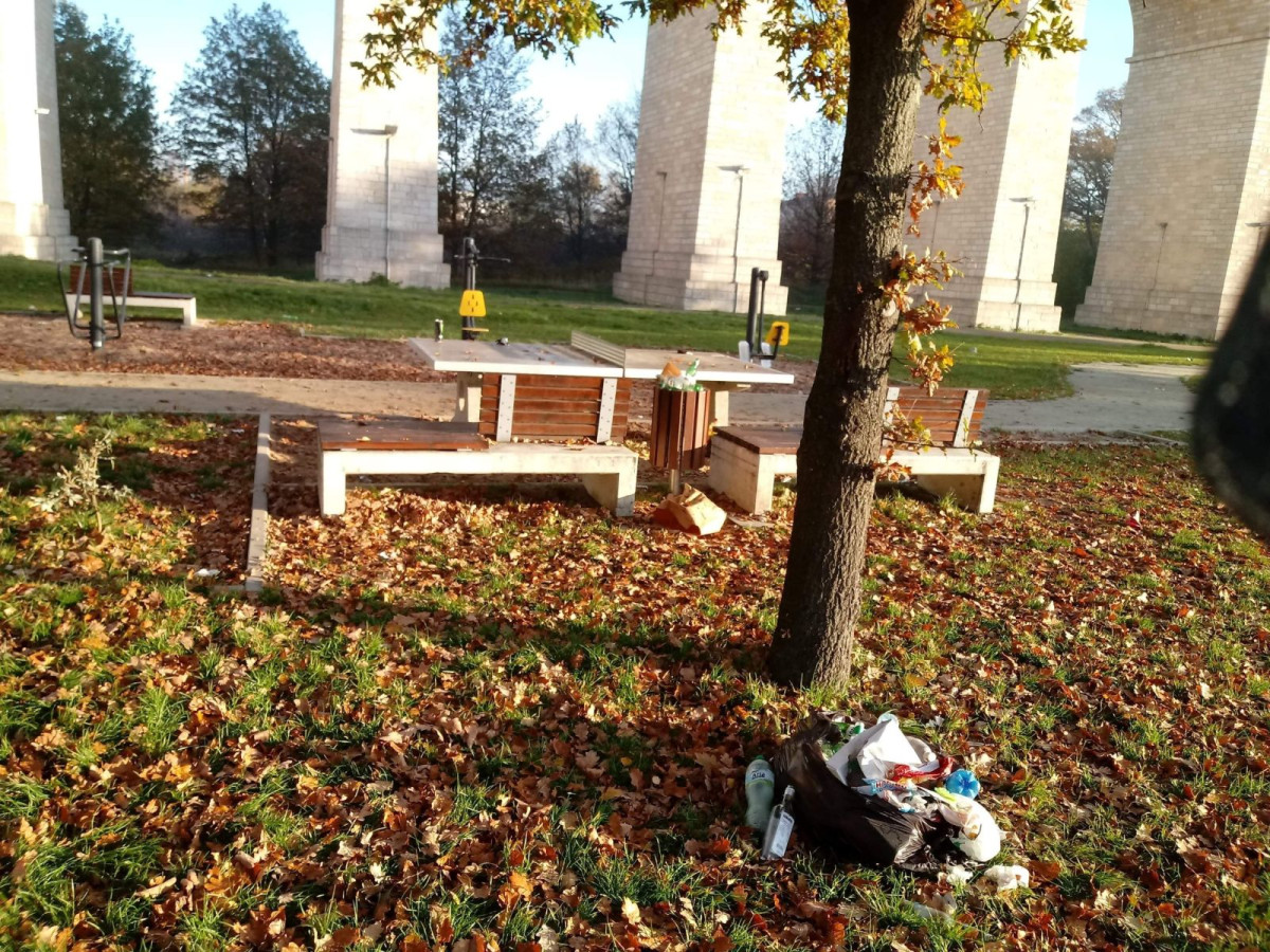 Śmieci na Wiadukt Plaza