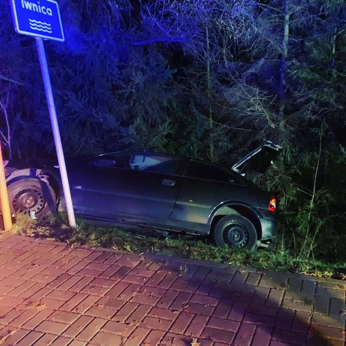 Akcja straży pożarnej w Nowogrodźcu