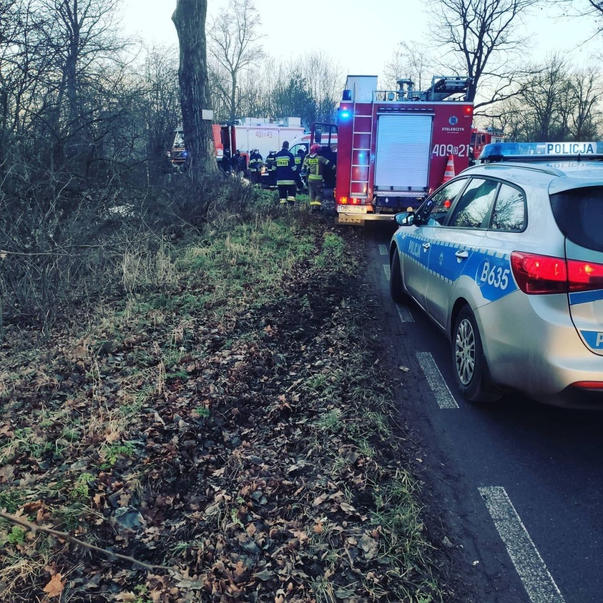 Zderzenie Volkswagena z drzewem