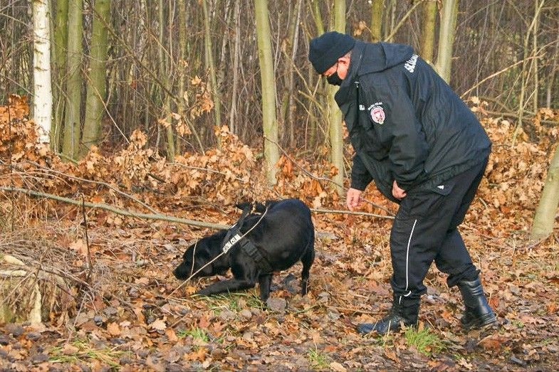 Narkotyki i labradorka Aria w akcji