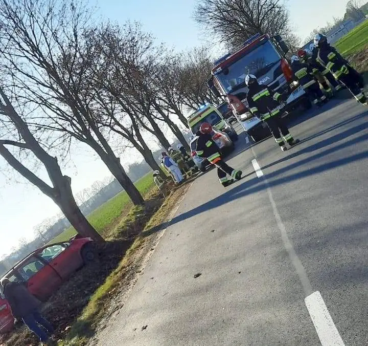 Auto uderzyło w drzewo koło Kraśnika Dolnego