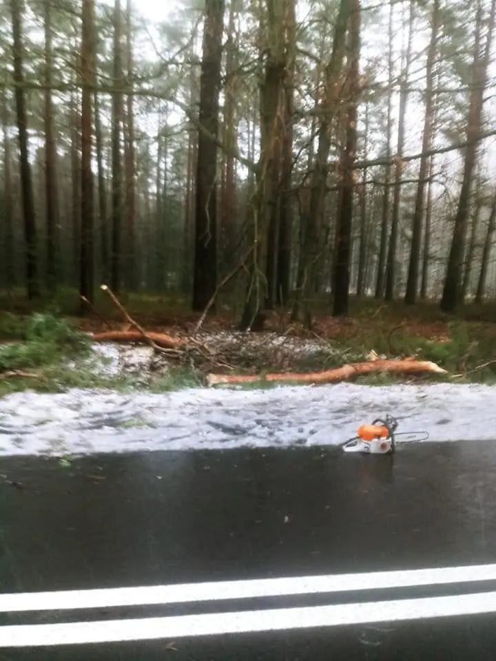 Akcja straży pożarnej między Krzyżową a Gromadką (gmina Gromadka, powiat bolesławiecki)