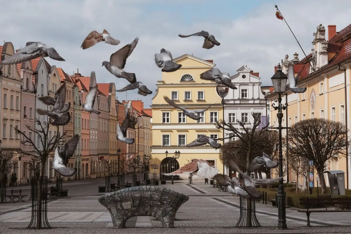 Nagrodzone zdjęcia w kalendarzu miejskim
