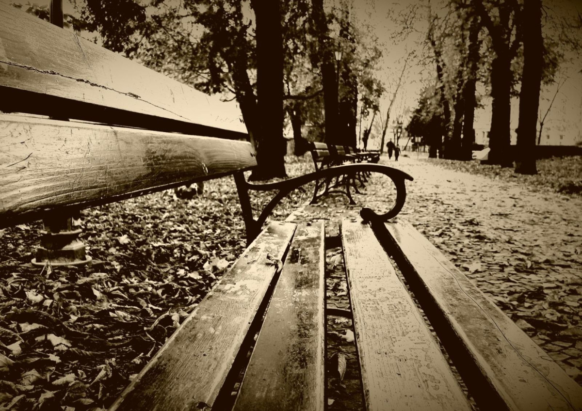 Nagrodzone zdjęcia w kalendarzu miejskim