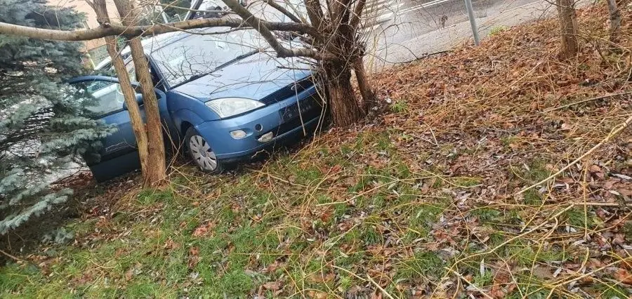 Akcja policji w Zgorzelcu