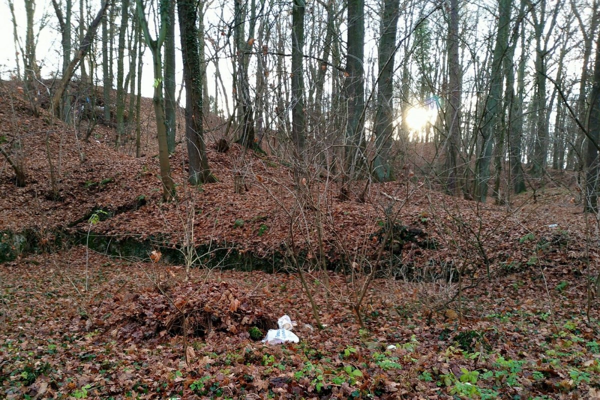 Lasek za byłą stacją POM