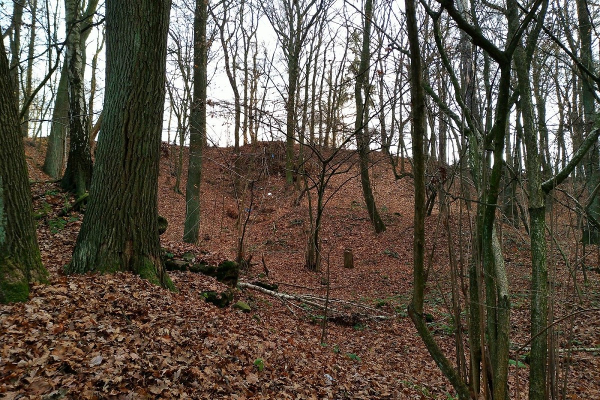 Lasek za byłą stacją POM