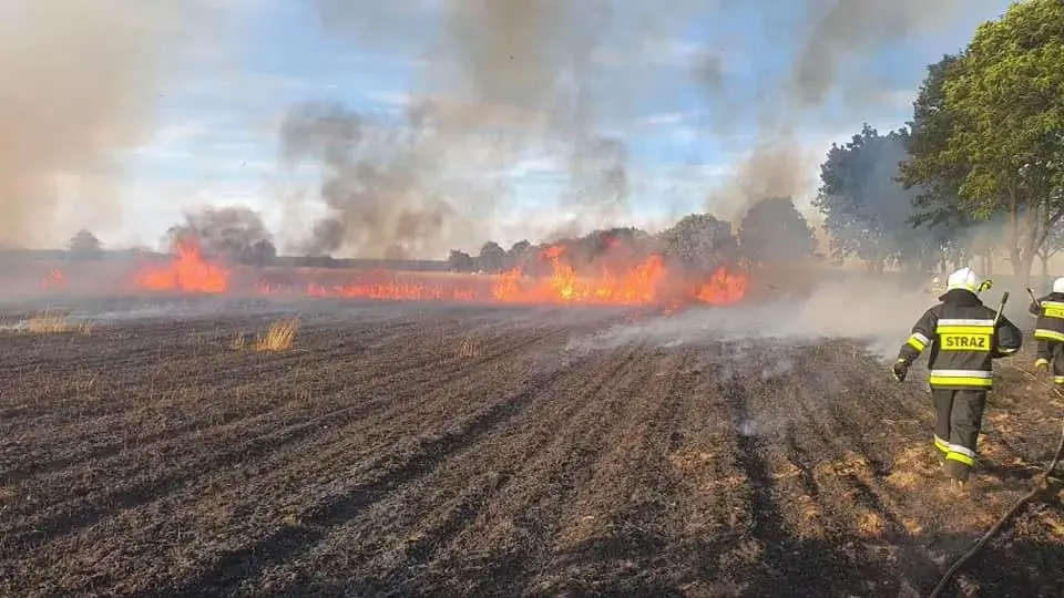Akcje OSP Trzebień
