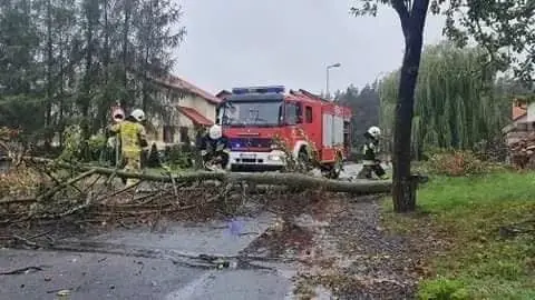 Akcje OSP Trzebień