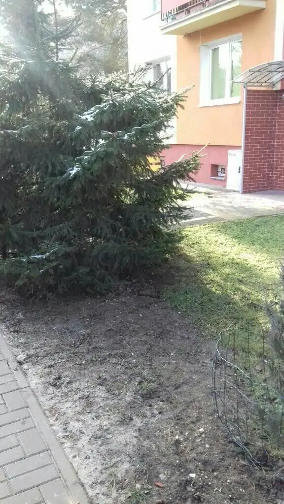 Działania Patrolu Saperskiego Bolesławiec